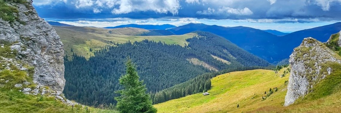 A view of a grassy valley with mountains in the background