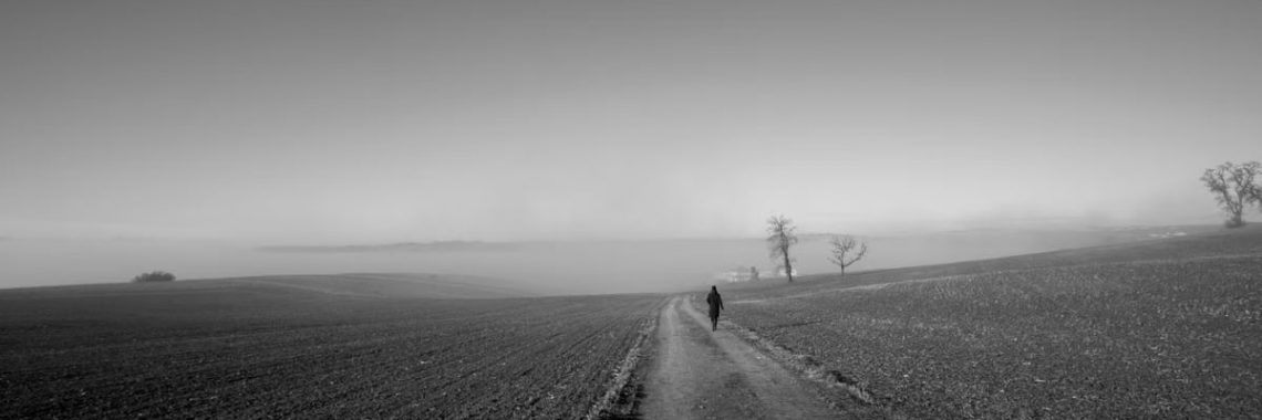 Black and white landscape with a lone person walking in misty fields in Schwertberg, Upper Austria.